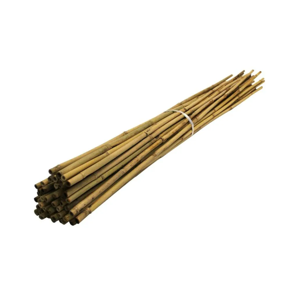 Bamboo Canes 0.9m Support Canes Vigilis Tree Shelters
