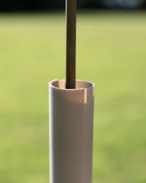 Vigilis biodegradable hedge wrap installed around a bamboo cane in a close-up lifestyle shot