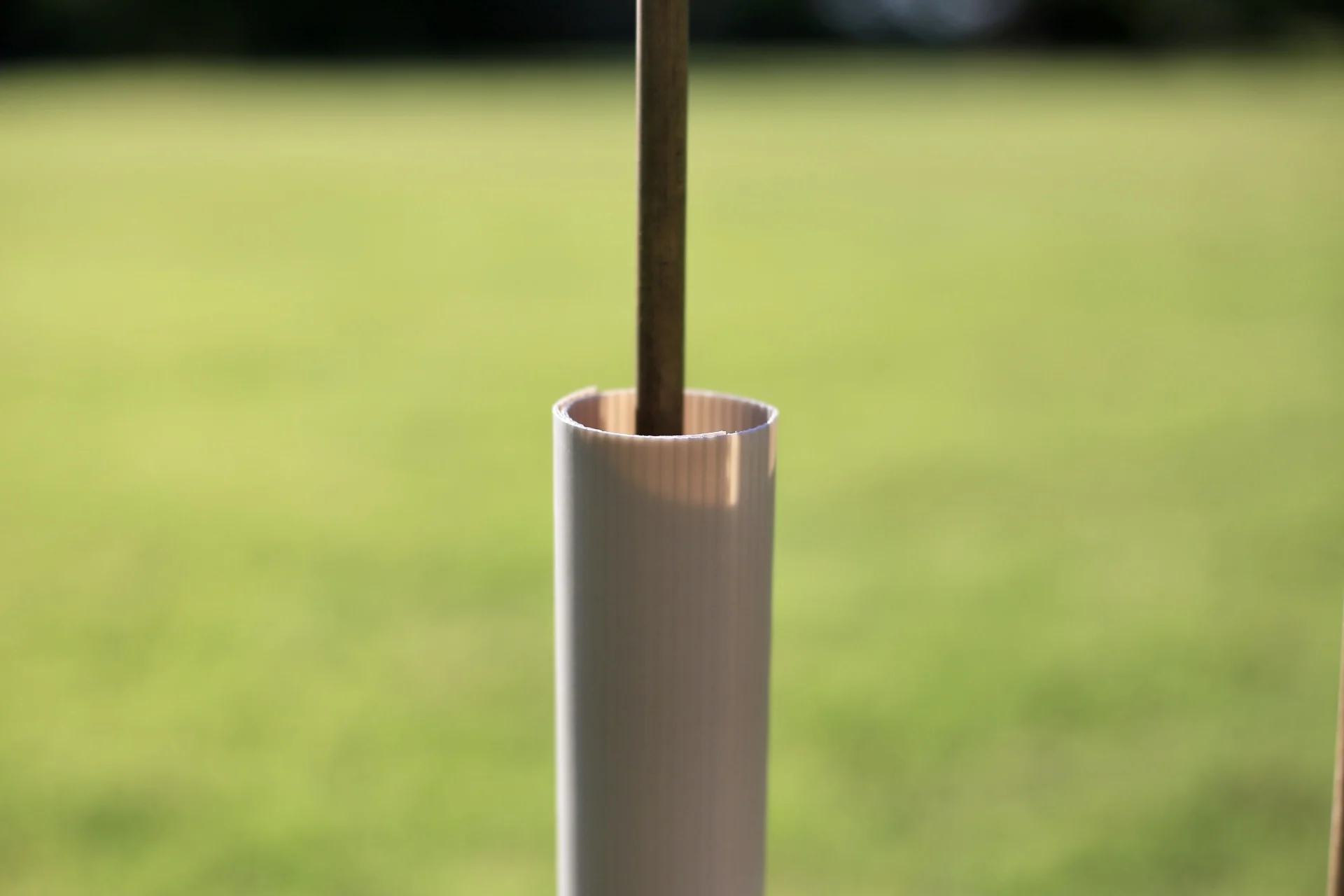 Vigilis biodegradable hedge wrap installed around a bamboo cane in a close-up lifestyle shot