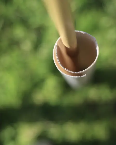 Top-down view of a Vigilis biodegradable hedge wrap fitted around a bamboo cane