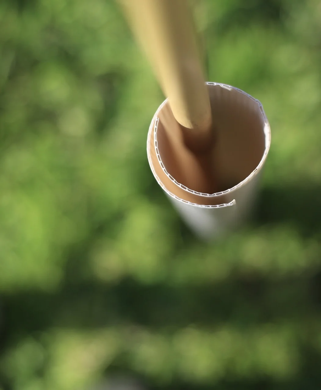 Top-down view of a Vigilis biodegradable hedge wrap fitted around a bamboo cane
