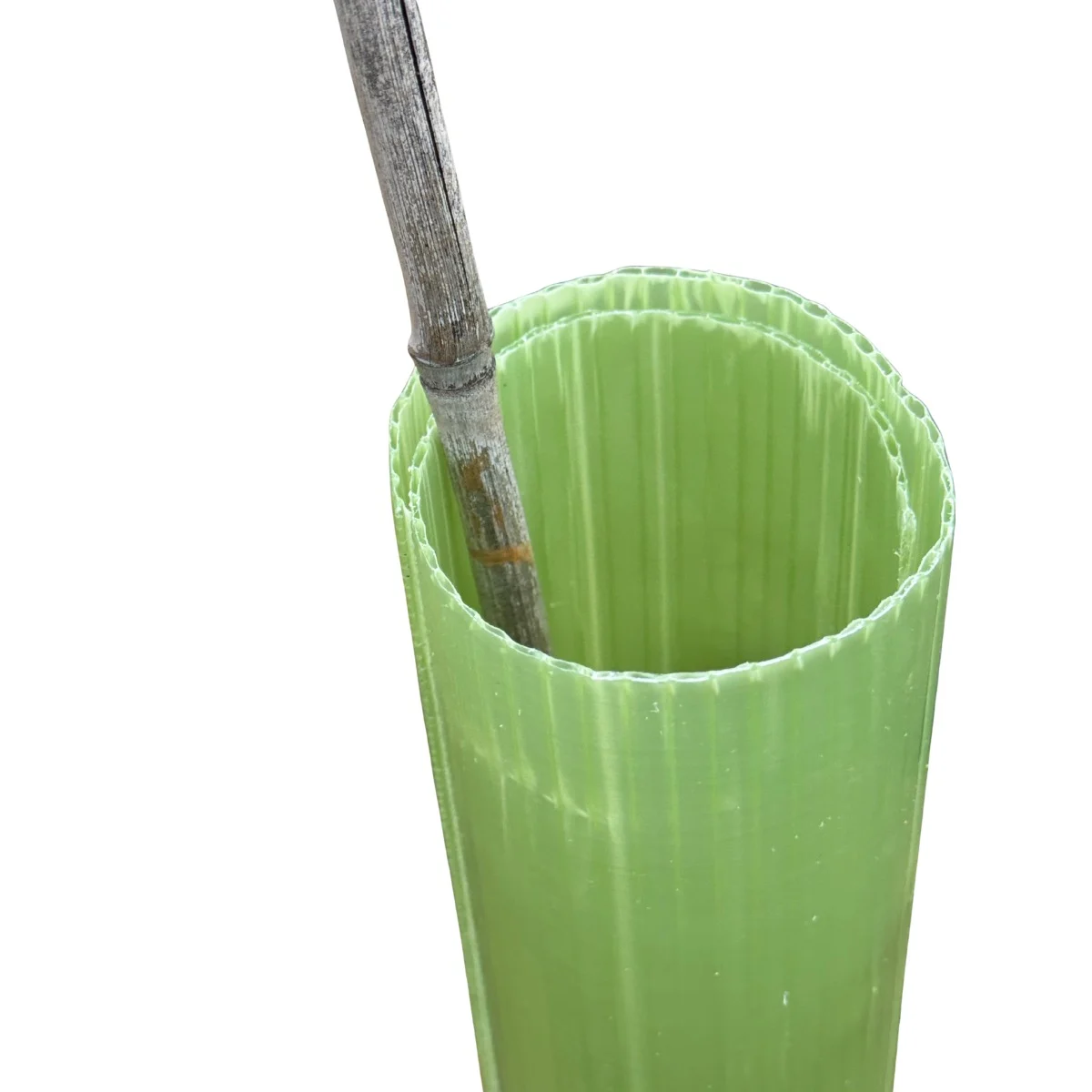 Vigilis vine wrap guard product shot on transparent background