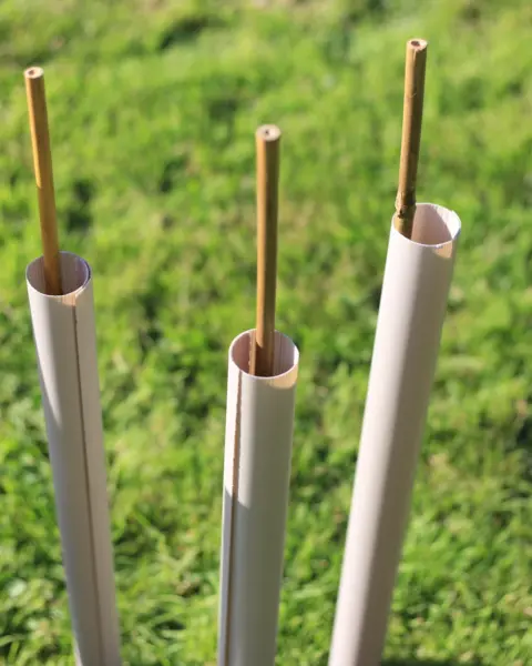 Four Vigilis biodegradable hedge wraps installed with bamboo canes in a garden planting scheme