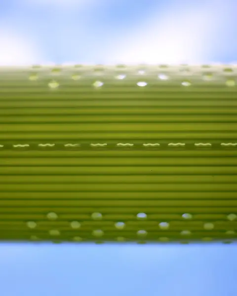 Close-up of Vigilis Ventair tree shelter ventilation holes against a clear sky highlighting light transmission