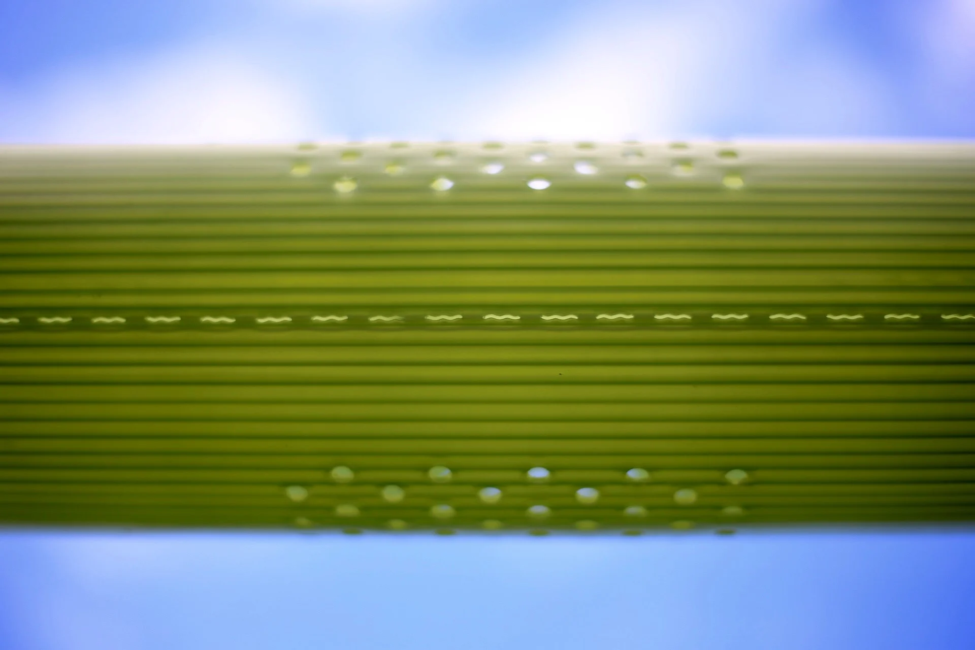 Close-up of Vigilis Ventair tree shelter ventilation holes against a clear sky highlighting light transmission