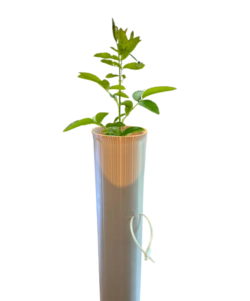 Vigilis Bio Tree Shelter biodegradable tree guard