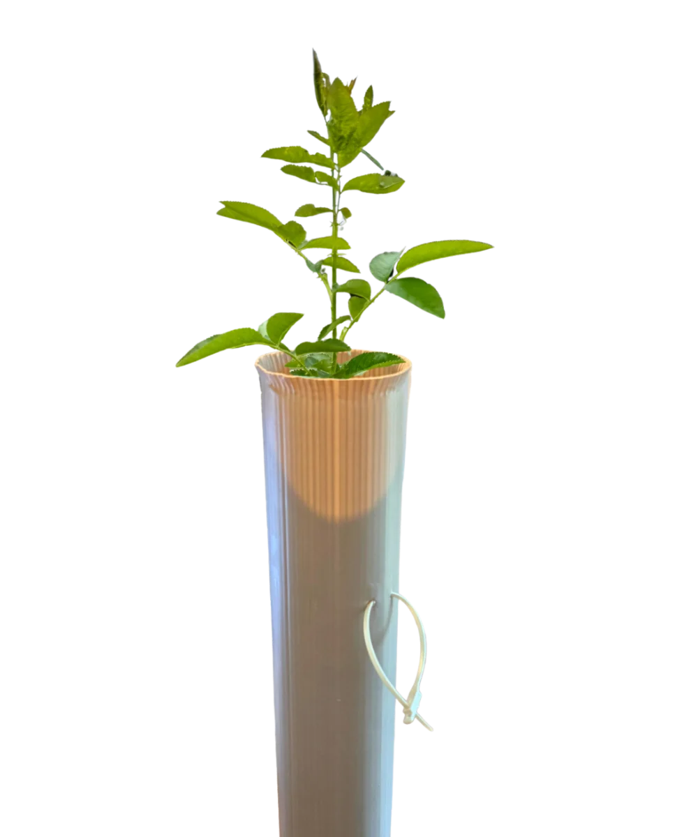 Vigilis Bio Tree Shelter biodegradable tree guard