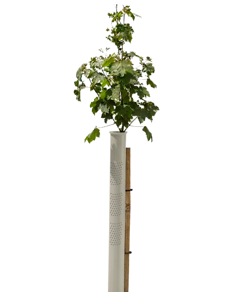 Vigilis Bio VentAir Tree Shelter biodegradable ventilated tree guard