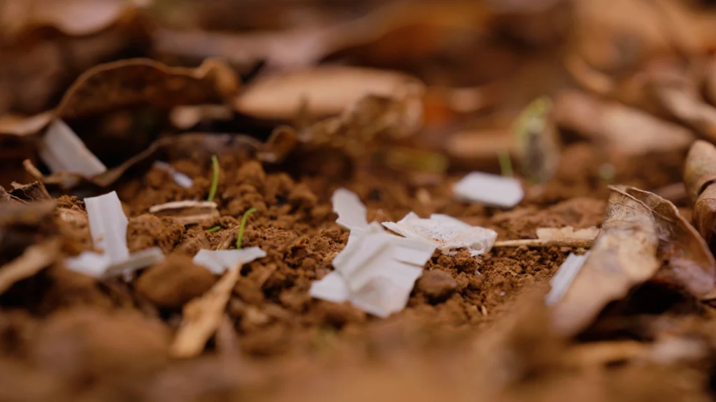 Vigilis biodegradable tree guard fragments scattered among fallen leaves on a forest floor