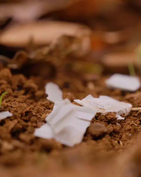 Close-up of Vigilis biodegradable tree guard material breaking down among forest floor leaves
