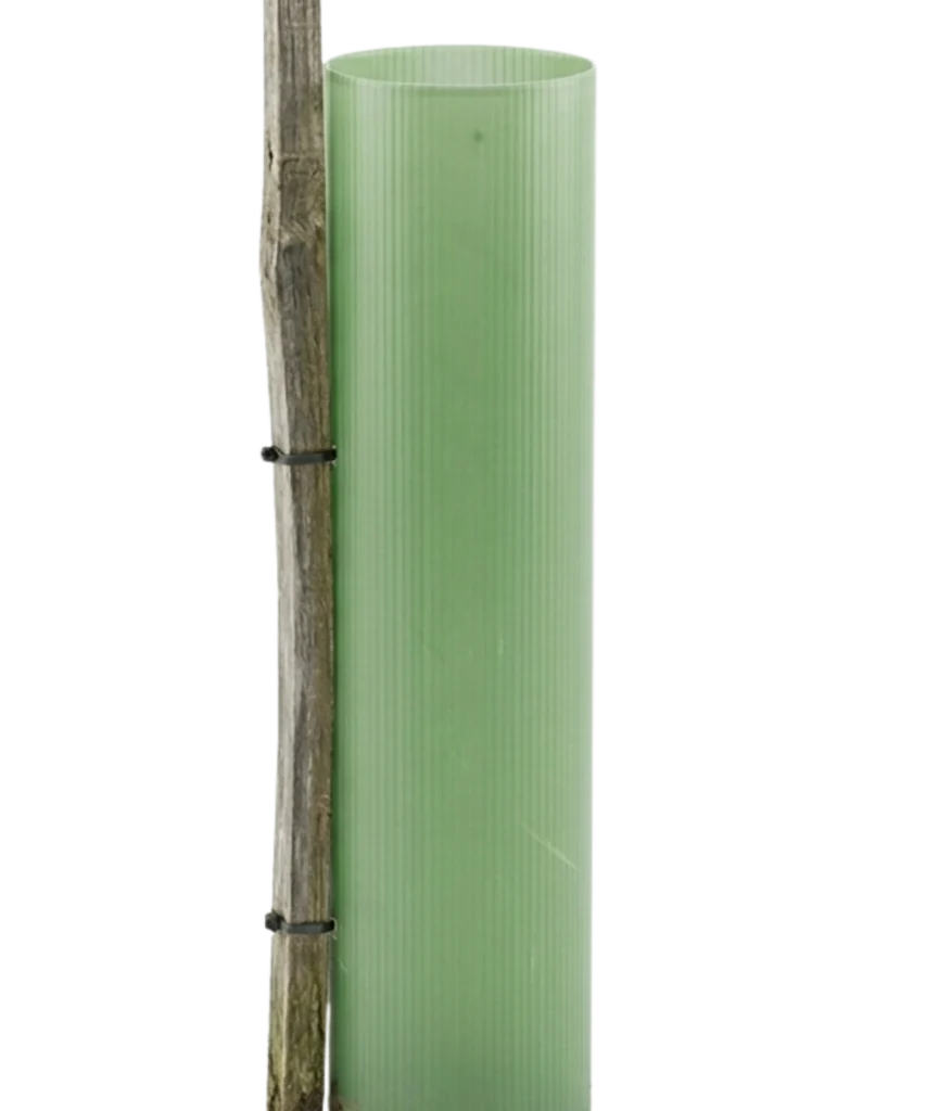 Vigilis Shrub Shelter recyclable shrub protection