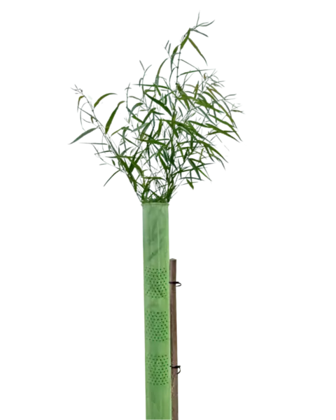 Vigilis VentAir Tree Shelter recyclable ventilated tree guard