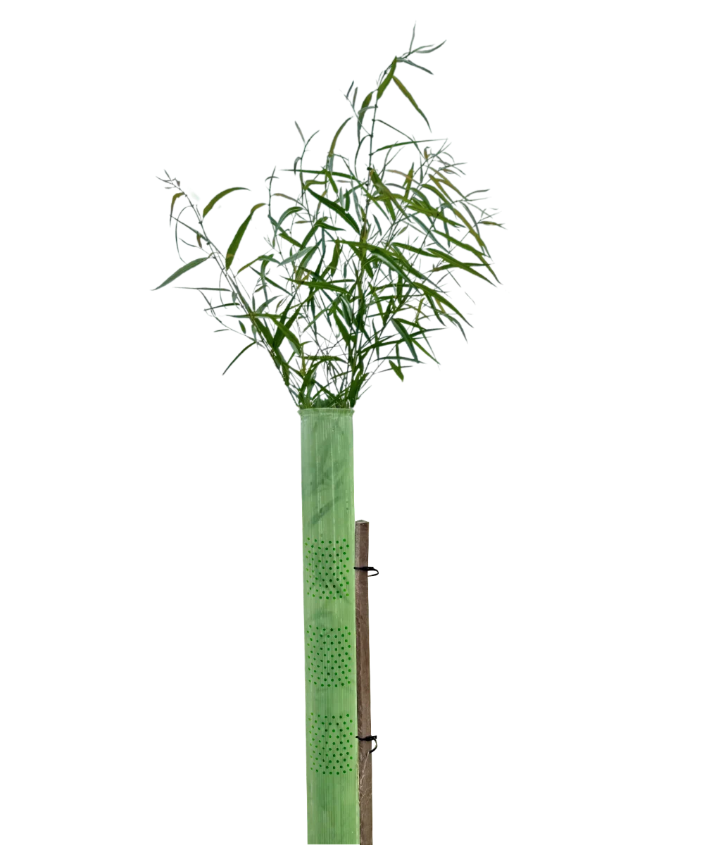 Vigilis VentAir Tree Shelter recyclable ventilated tree guard
