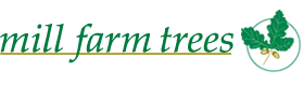 Mill Farm Trees