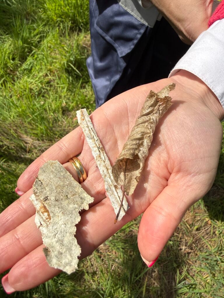 A fragment of a Vigilis Bio tree guard next to a leaf comparing colour and texture